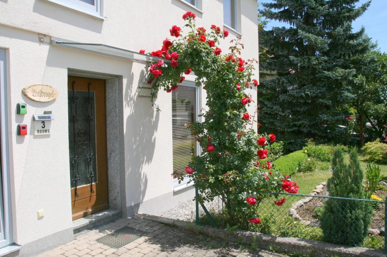 Waldvogel Ferienzimmer Klimatisiert 博登斯边的伊门施塔特 外观 照片